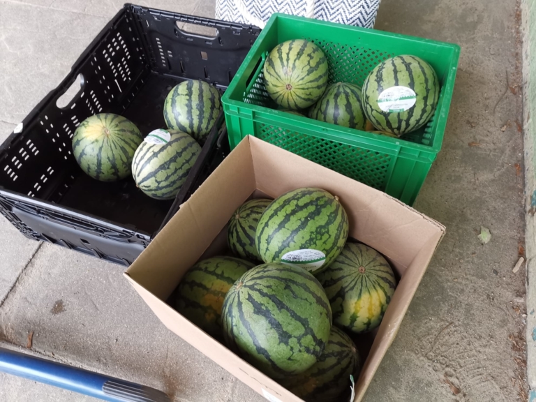 Wassermelonenaktion: Ein erfrischendes Highlight bei den Bundesjugendspielen (Friedrich-Dierks-Schule Isernhagen)